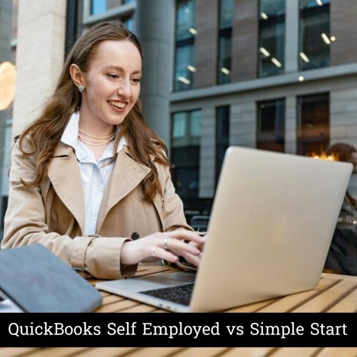 Ultimate Comparison – Quickbooks online Vs Quickbooks Self Employed ... Ultimate Comparison – Quickbooks online Vs Quickbooks Self Employed ...