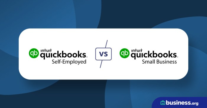 Understanding The Differences: A Comprehensive Guide To QuickBooks Self ... Understanding The Differences: A Comprehensive Guide To QuickBooks Self ...